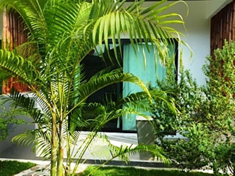 Sairee Sairee Guesthouse Koh Tao Exteriör bild
